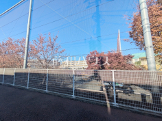 世田谷区立芦花小学校