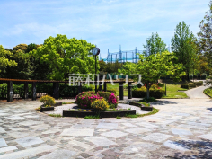 柏原中央公園