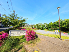 小山小鳩公園
