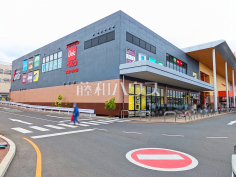ベルク　フォルテ八王子店