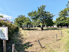 北烏山四丁目梅林市民緑地