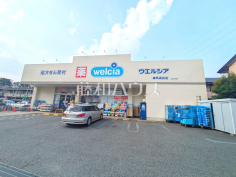  ウエルシア練馬高松店