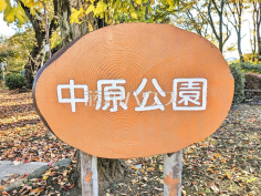 中原公園
