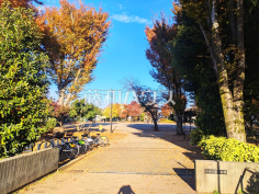 板橋区立成増北第一公園