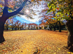 みずほ台中央公園