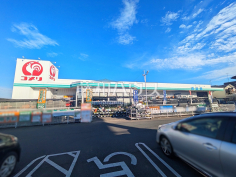 コメリハード＆グリーン羽沢店