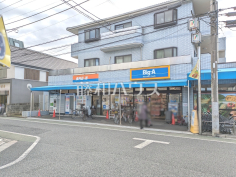 ビッグ・エー 練馬東大泉店