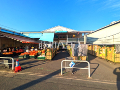 新鮮市場　フレッツ