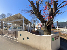 けやき幼稚園