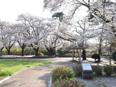 清瀬中央公園