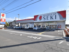 ドラッグストアセキ下安松店