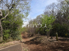 都立八国山緑地