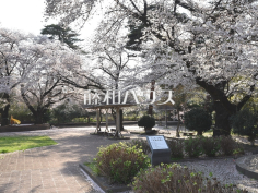 清瀬中央公園 清瀬中央公園