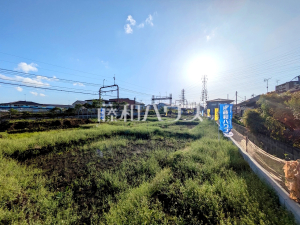 現地写真