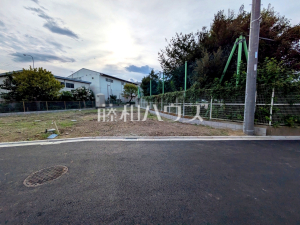 現地写真