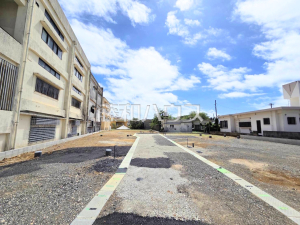 現地写真