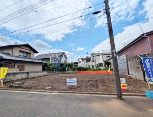 現地写真