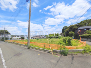 現地写真