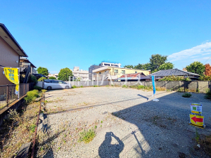 現地写真