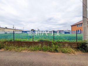 現地写真