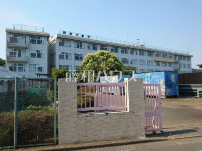 小学校（公立）