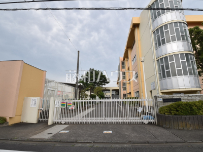 小学校（公立）