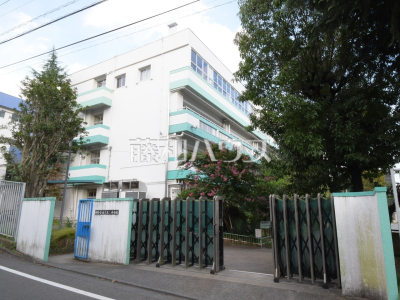 中学校（公立）