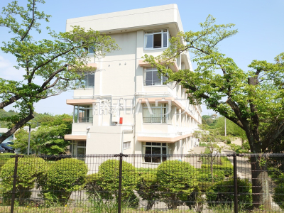 中学校（公立）