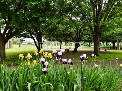 公園・運動施設