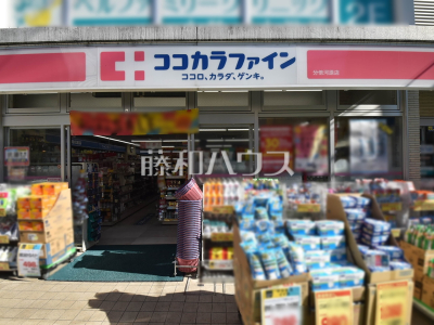 ドラッグストア