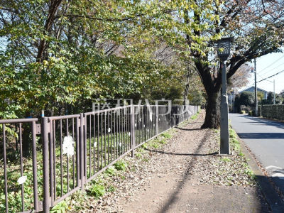 その他環境写真