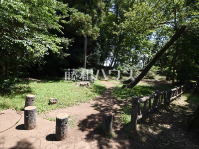 その他環境写真