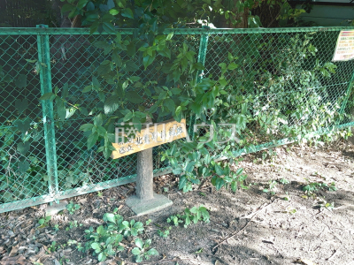 公園・運動施設