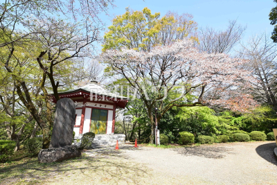 公園・運動施設