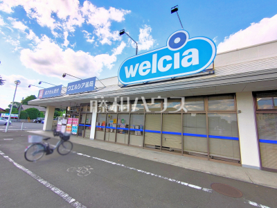 ドラッグストア