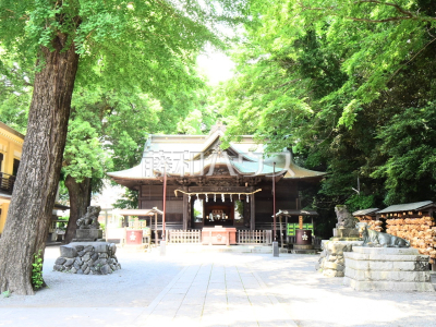 その他環境写真