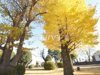 公園・運動施設