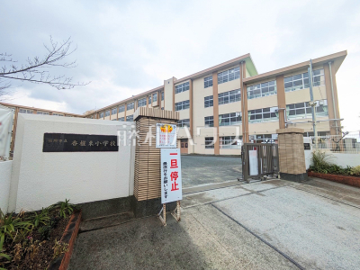 小学校（公立）