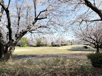 公園・運動施設