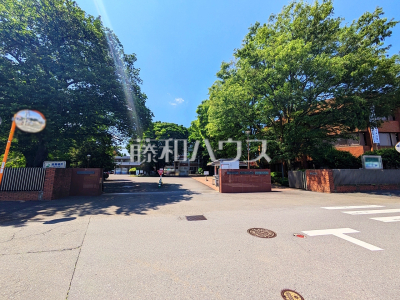大学
