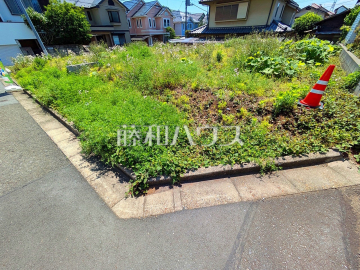 現地写真