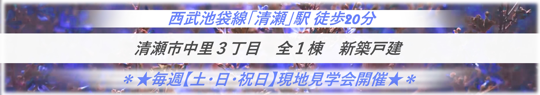 【清瀬市中里３丁目　全１棟　新築戸建】のイメージ1