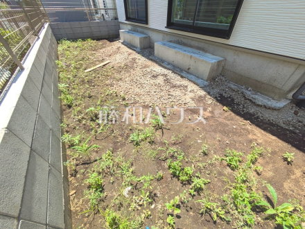庭　【日野市東平山２丁目】／撮影日2025/06/28