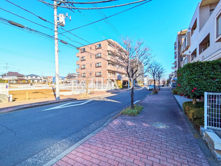 接道状況および現場風景　【小平市栄町２丁目】前面道路は歩道もあり、小さなお子様がいるご家庭も安心ですね。
／撮影日2025/01/31