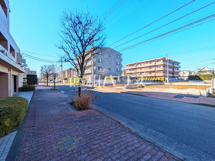 接道状況および現場風景　【小平市栄町２丁目】ぜひお客様ご自身で周囲の環境、室内の様子をご覧下さい♪　お問い合わせをお待ちしております。
／撮影日2025/01/31