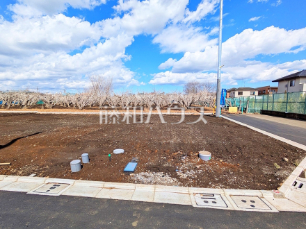 1号地付近　現地写真　【三鷹市北野３丁目】／撮影日2025/03/17