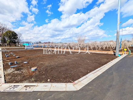 1号地付近　現地写真　【三鷹市北野３丁目】／撮影日2025/03/17