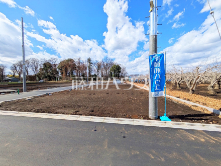 1号地付近　現地写真　【三鷹市北野３丁目】／撮影日2025/03/17