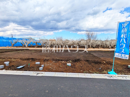 6号地付近　現地写真　【三鷹市北野３丁目】／撮影日2025/03/17