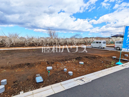 6号地付近　現地写真　【三鷹市北野３丁目】／撮影日2025/03/17